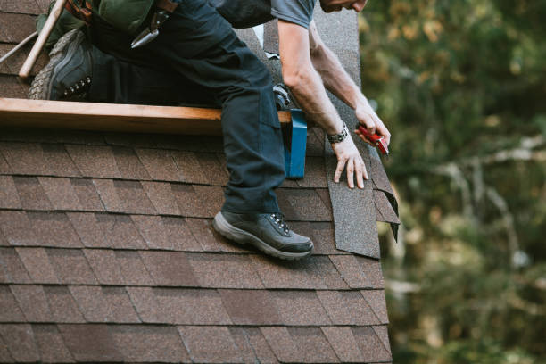 Best Roof Waterproofing Services  in South Lake Tahoe, CA